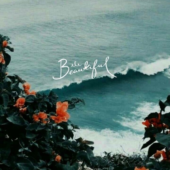 Meet your Posher,Rose - Picture 3 of 3